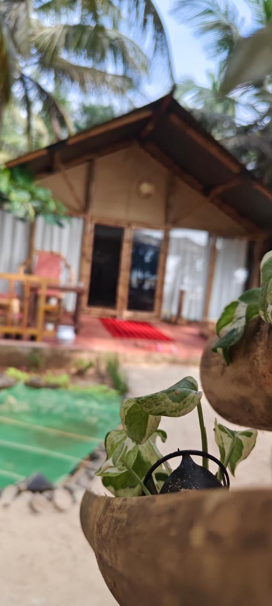 Te Amo Boutique Stays Kumta Bagian luar foto